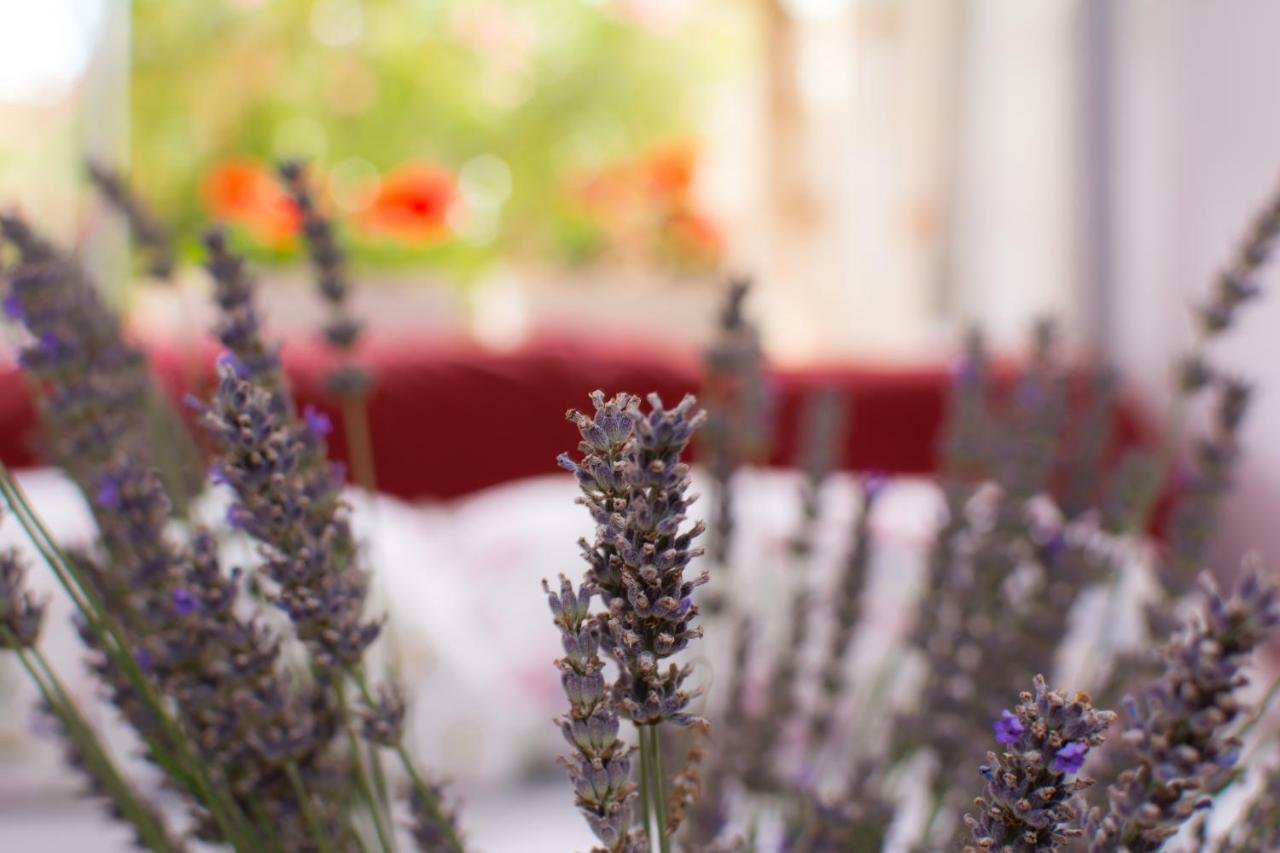 Apartment Vida - Amazing Place With Garden And Terrace 리예카 외부 사진
